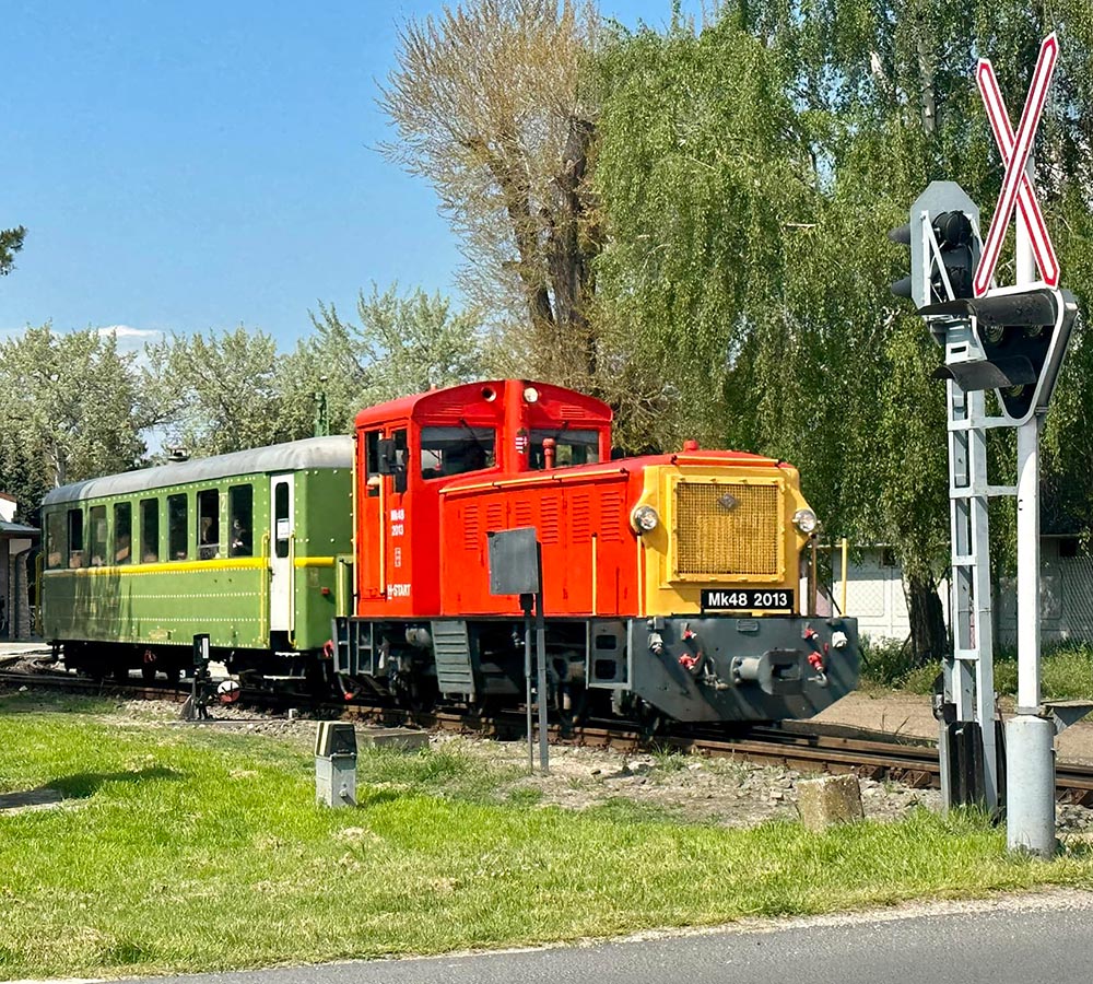 vasutas-termeszetjarok-szovetsege-vtsz-rolunk vasutas-termeszetjarok-szovetsege-vtsz-rolunk