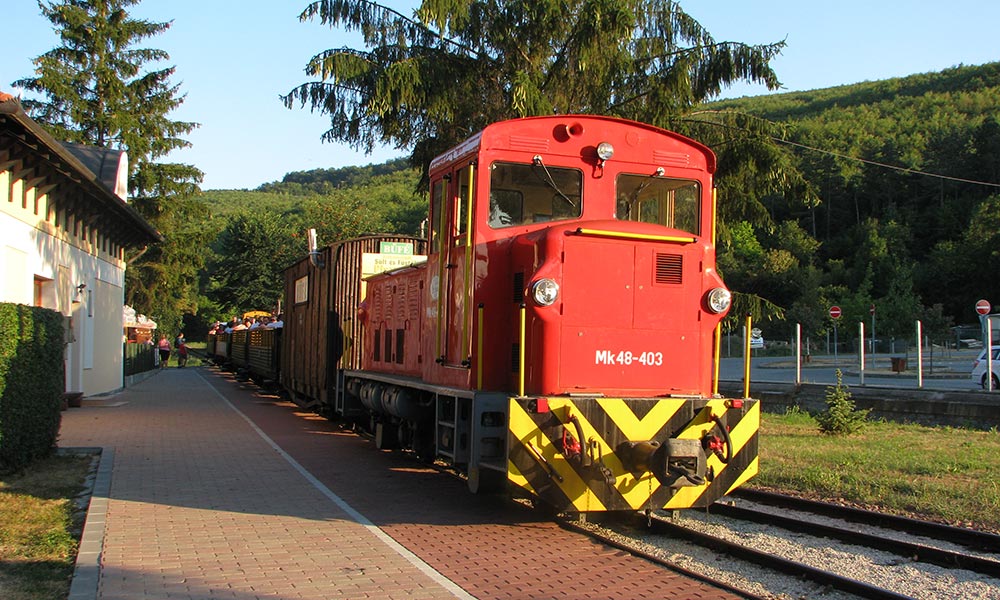 vtsz-kapcsolat vtsz-kapcsolat