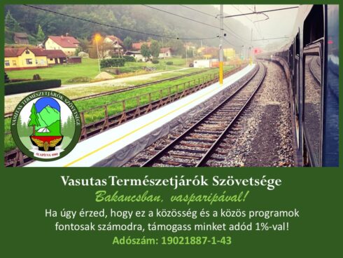 2025-ös kártyanaptár